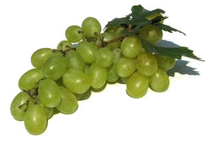 wine