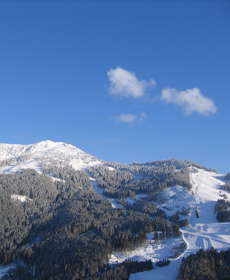Fulseck